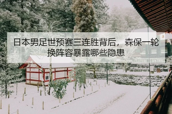 ri-ben-nan-zu-shi-yu-sai-san-lian-sheng-bei-hou-sen-bao-yi-lun-huan-zhen-rong-bao-lu-na-xie-yin-huan-3-993.jpg