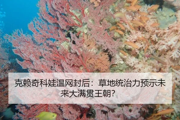 克赖奇科娃温网封后：草地统治力预示未来大满贯王朝？