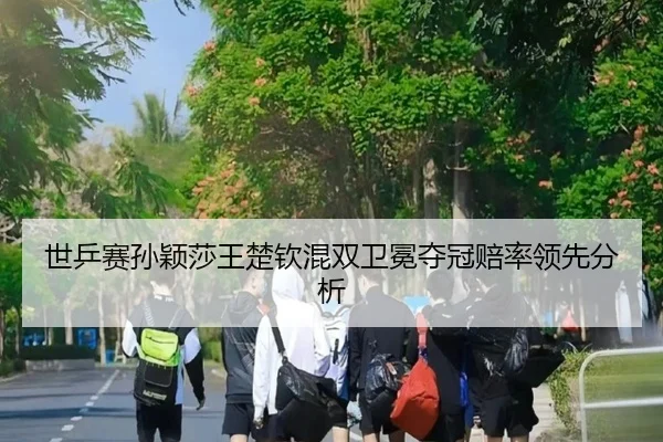shi-ping-sai-sun-ying-sha-wang-chu-qin-hun-shuang-wei-mian-duo-guan-pei-shuai-ling-xian-fen-xi-2-145.jpg