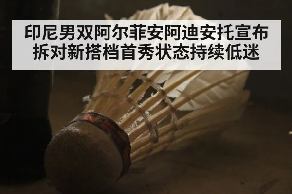 印尼男双阿尔菲安阿迪安托宣布拆对新搭档首秀状态持续低迷
